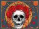 Not Fade Away / Goin' Down the Road Feeling Bad (live) Playback personalizado - Grateful Dead