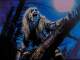 Bark at the Moon - Base per Batteria - Ozzy Osbourne