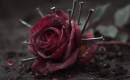 Rose of Sharyn - Killswitch Engage - Instrumental MP3 Karaoke Download Rose of Sharyn - Killswitch Engage - Instrumental MP3 Karaoke Download