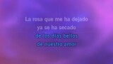 Volveré Karaoke - Diego Verdaguer