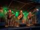 I Wanna Dance with Somebody (live from Dublin) niestandardowy podkład - The Tumbling Paddies
