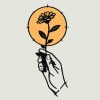 Torn