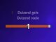 Video Karaoke Liedje Tulpen uit Amsterdam - Herman Emmink
