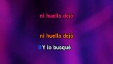Karaoké Lo busqué - Ana Bárbara