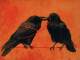 The Sound of Settling Base personalizzata - Death Cab For Cutie