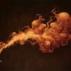 Dead Embryonic Cells