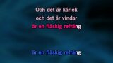 Video Karaoke Värsta schlagern - Markoolio