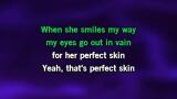 Perfect Skin Karaoke - Lloyd Cole and the Commotions