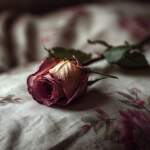 karaoke,Tears on My Pillow,Josh Tatofi,base musicale,strumentale,playback,mp3,testi,canta da solo,canto,cover,karafun,karafun karaoke,Josh Tatofi karaoke,karafun Josh Tatofi,Tears on My Pillow karaoke,karaoke Tears on My Pillow,karaoke Josh Tatofi Tears on My Pillow,karaoke Tears on My Pillow Josh Tatofi,Josh Tatofi Tears on My Pillow karaoke,Tears on My Pillow Josh Tatofi karaoke,Tears on My Pillow testi,Tears on My Pillow cover,