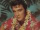 Piano Backing Track - No More (live Aloha from Hawaii 1973) - Elvis Presley - Instrumental Without Piano