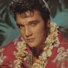No More (live Aloha from Hawaii 1973)