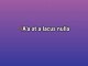 Beach in Hawaii - Karaoke nach Maß - Ziggy Marley & The Melody Makers