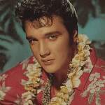 karaoke,No More (live Aloha from Hawaii 1973),Elvis Presley,backing track,instrumental,playback,mp3,lyrics,sing along,singing,cover,karafun,karafun karaoke,Elvis Presley karaoke,karafun Elvis Presley,No More (live Aloha from Hawaii 1973) karaoke,karaoke No More (live Aloha from Hawaii 1973),karaoke Elvis Presley No More (live Aloha from Hawaii 1973),karaoke No More (live Aloha from Hawaii 1973) Elvis Presley,Elvis Presley No More (live Aloha from Hawaii 1973) karaoke,No More (live Aloha from Hawaii 1973) Elvis Presley karaoke,No More (live Aloha from Hawaii 1973) lyrics,No More (live Aloha from Hawaii 1973) cover,