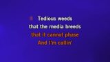 Stadium Arcadium Karaoke - Red Hot Chili Peppers