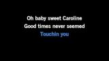 Video Karaoke Sweet Caroline - David Hasselhoff