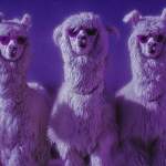 karaoké,The Last of the Real Ones,Fall Out Boy,instrumental,playback,mp3, cover,karafun,karafun karaoké,Fall Out Boy karaoké,karafun Fall Out Boy,The Last of the Real Ones karaoké,karaoké The Last of the Real Ones,karaoké Fall Out Boy The Last of the Real Ones,karaoké The Last of the Real Ones Fall Out Boy,Fall Out Boy The Last of the Real Ones karaoké,The Last of the Real Ones Fall Out Boy karaoké,The Last of the Real Ones cover,The Last of the Real Ones paroles,