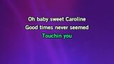Karaoké Sweet Caroline - David Hasselhoff