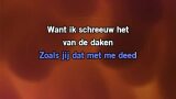 Karaoké Ik schreeuw het van de daken - Toast