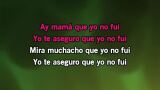 Yo no fui Karaoke - Pedro Fernández