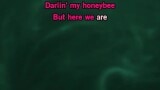 Karaoké Honeybee - The Head and the Heart