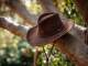 Playback personnalisé Cotton Eye Joe - Nathan Evans