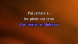 Karaoké SOS d'un terrien en détresse (live 2019) - Slimane