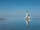 Oceans (Spirit Lead Me) niestandardowy podkład - Liv Harland