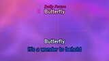 Butterfly Karaoke - Zac Brown Band