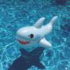 Baby Shark