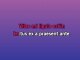 Sadie the Cleaning Lady - Custom Karaoke - John Farnham