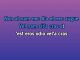 Making Love to Morgan Wallen - Custom Karaoke - Limp Bizkit