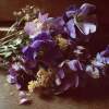 Ramito de violetas