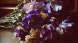 Ramito de violetas