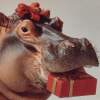I Want a Hippopotamus for Christmas