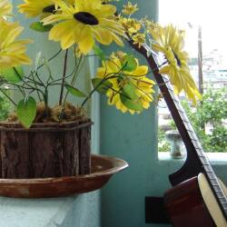 karaoke,You're Gonna Make Me Lonesome When You Go,Miley Cyrus,backing track,instrumental,playback,mp3,lyrics,sing along,singing,cover,karafun,karafun karaoke,Miley Cyrus karaoke,karafun Miley Cyrus,You're Gonna Make Me Lonesome When You Go karaoke,karaoke You're Gonna Make Me Lonesome When You Go,karaoke Miley Cyrus You're Gonna Make Me Lonesome When You Go,karaoke You're Gonna Make Me Lonesome When You Go Miley Cyrus,Miley Cyrus You're Gonna Make Me Lonesome When You Go karaoke,You're Gonna Make Me Lonesome When You Go Miley Cyrus karaoke,You're Gonna Make Me Lonesome When You Go lyrics,You're Gonna Make Me Lonesome When You Go cover,