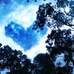 karaoke,I Love the Lord,Whitney Houston,backing track,instrumental,playback,mp3,lyrics,sing along,singing,cover,karafun,karafun karaoke,Whitney Houston karaoke,karafun Whitney Houston,I Love the Lord karaoke,karaoke I Love the Lord,karaoke Whitney Houston I Love the Lord,karaoke I Love the Lord Whitney Houston,Whitney Houston I Love the Lord karaoke,I Love the Lord Whitney Houston karaoke,I Love the Lord lyrics,I Love the Lord cover,