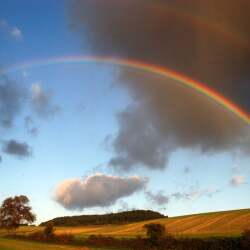 karaoke,The Rainbow Connection,Kermit,backing track,instrumental,playback,mp3,lyrics,sing along,singing,cover,karafun,karafun karaoke,Kermit karaoke,karafun Kermit,The Rainbow Connection karaoke,karaoke The Rainbow Connection,karaoke Kermit The Rainbow Connection,karaoke The Rainbow Connection Kermit,Kermit The Rainbow Connection karaoke,The Rainbow Connection Kermit karaoke,The Rainbow Connection lyrics,The Rainbow Connection cover,