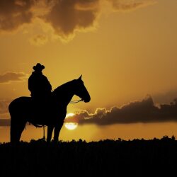 karaoke,This Is Where The Cowboy Rides Away,Brooks & Dunn,backing track,instrumental,playback,mp3,lyrics,sing along,singing,cover,karafun,karafun karaoke,Brooks & Dunn karaoke,karafun Brooks & Dunn,This Is Where The Cowboy Rides Away karaoke,karaoke This Is Where The Cowboy Rides Away,karaoke Brooks & Dunn This Is Where The Cowboy Rides Away,karaoke This Is Where The Cowboy Rides Away Brooks & Dunn,Brooks & Dunn This Is Where The Cowboy Rides Away karaoke,This Is Where The Cowboy Rides Away Brooks & Dunn karaoke,This Is Where The Cowboy Rides Away lyrics,This Is Where The Cowboy Rides Away cover,