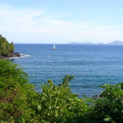 karaoke,Baila Morena,Zucchero,backing track,instrumental,playback,mp3,lyrics,sing along,singing,cover,karafun,karafun karaoke,Zucchero karaoke,karafun Zucchero,Baila Morena karaoke,karaoke Baila Morena,karaoke Zucchero Baila Morena,karaoke Baila Morena Zucchero,Zucchero Baila Morena karaoke,Baila Morena Zucchero karaoke,Baila Morena lyrics,Baila Morena cover,