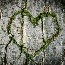 karaoke,Take These Chains from My Heart,The Kentucky Headhunters,backing track,instrumental,playback,mp3,lyrics,sing along,singing,cover,karafun,karafun karaoke,The Kentucky Headhunters karaoke,karafun The Kentucky Headhunters,Take These Chains from My Heart karaoke,karaoke Take These Chains from My Heart,karaoke The Kentucky Headhunters Take These Chains from My Heart,karaoke Take These Chains from My Heart The Kentucky Headhunters,The Kentucky Headhunters Take These Chains from My Heart karaoke,Take These Chains from My Heart The Kentucky Headhunters karaoke,Take These Chains from My Heart lyrics,Take These Chains from My Heart cover,