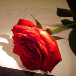 karaoke,Send Her My Love,Journey,backing track,instrumental,playback,mp3,lyrics,sing along,singing,cover,karafun,karafun karaoke,Journey karaoke,karafun Journey,Send Her My Love karaoke,karaoke Send Her My Love,karaoke Journey Send Her My Love,karaoke Send Her My Love Journey,Journey Send Her My Love karaoke,Send Her My Love Journey karaoke,Send Her My Love lyrics,Send Her My Love cover,