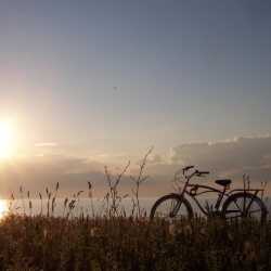 karaoke,Sundown,Gordon Lightfoot,backing track,instrumental,playback,mp3,lyrics,sing along,singing,cover,karafun,karafun karaoke,Gordon Lightfoot karaoke,karafun Gordon Lightfoot,Sundown karaoke,karaoke Sundown,karaoke Gordon Lightfoot Sundown,karaoke Sundown Gordon Lightfoot,Gordon Lightfoot Sundown karaoke,Sundown Gordon Lightfoot karaoke,Sundown lyrics,Sundown cover,