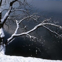 karaoke,Rudolph The Red-Nosed Reindeer,Alan Jackson,backing track,instrumental,playback,mp3,lyrics,sing along,singing,cover,karafun,karafun karaoke,Alan Jackson karaoke,karafun Alan Jackson,Rudolph The Red-Nosed Reindeer karaoke,karaoke Rudolph The Red-Nosed Reindeer,karaoke Alan Jackson Rudolph The Red-Nosed Reindeer,karaoke Rudolph The Red-Nosed Reindeer Alan Jackson,Alan Jackson Rudolph The Red-Nosed Reindeer karaoke,Rudolph The Red-Nosed Reindeer Alan Jackson karaoke,Rudolph The Red-Nosed Reindeer lyrics,Rudolph The Red-Nosed Reindeer cover,