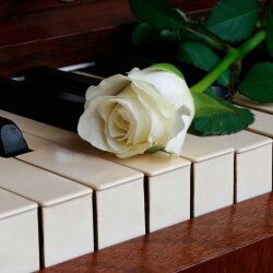 karaoke,Someone to Watch Over Me,Amy Winehouse,backing track,instrumental,playback,mp3,lyrics,sing along,singing,cover,karafun,karafun karaoke,Amy Winehouse karaoke,karafun Amy Winehouse,Someone to Watch Over Me karaoke,karaoke Someone to Watch Over Me,karaoke Amy Winehouse Someone to Watch Over Me,karaoke Someone to Watch Over Me Amy Winehouse,Amy Winehouse Someone to Watch Over Me karaoke,Someone to Watch Over Me Amy Winehouse karaoke,Someone to Watch Over Me lyrics,Someone to Watch Over Me cover,