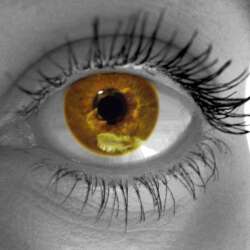 karaoke,Sway (Quien Sera),Dean Martin,backing track,instrumental,playback,mp3,lyrics,sing along,singing,cover,karafun,karafun karaoke,Dean Martin karaoke,karafun Dean Martin,Sway (Quien Sera) karaoke,karaoke Sway (Quien Sera),karaoke Dean Martin Sway (Quien Sera),karaoke Sway (Quien Sera) Dean Martin,Dean Martin Sway (Quien Sera) karaoke,Sway (Quien Sera) Dean Martin karaoke,Sway (Quien Sera) lyrics,Sway (Quien Sera) cover,