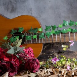 karaoke,Never Going Back Again,Fleetwood Mac,backing track,instrumental,playback,mp3,lyrics,sing along,singing,cover,karafun,karafun karaoke,Fleetwood Mac karaoke,karafun Fleetwood Mac,Never Going Back Again karaoke,karaoke Never Going Back Again,karaoke Fleetwood Mac Never Going Back Again,karaoke Never Going Back Again Fleetwood Mac,Fleetwood Mac Never Going Back Again karaoke,Never Going Back Again Fleetwood Mac karaoke,Never Going Back Again lyrics,Never Going Back Again cover,