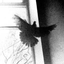 karaoke,Animal Instinct,The Cranberries,backing track,instrumental,playback,mp3,lyrics,sing along,singing,cover,karafun,karafun karaoke,The Cranberries karaoke,karafun The Cranberries,Animal Instinct karaoke,karaoke Animal Instinct,karaoke The Cranberries Animal Instinct,karaoke Animal Instinct The Cranberries,The Cranberries Animal Instinct karaoke,Animal Instinct The Cranberries karaoke,Animal Instinct lyrics,Animal Instinct cover,