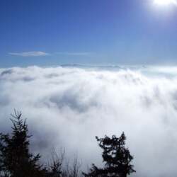 karaoke,So High,John Legend,backing track,instrumental,playback,mp3,lyrics,sing along,singing,cover,karafun,karafun karaoke,John Legend karaoke,karafun John Legend,So High karaoke,karaoke So High,karaoke John Legend So High,karaoke So High John Legend,John Legend So High karaoke,So High John Legend karaoke,So High lyrics,So High cover,