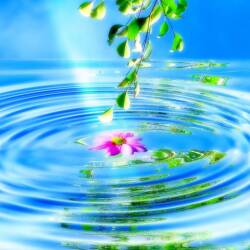 karaoke,Reflection (pop version),Mulan,backing track,instrumental,playback,mp3,lyrics,sing along,singing,cover,karafun,karafun karaoke,Mulan karaoke,karafun Mulan,Reflection (pop version) karaoke,karaoke Reflection (pop version),karaoke Mulan Reflection (pop version),karaoke Reflection (pop version) Mulan,Mulan Reflection (pop version) karaoke,Reflection (pop version) Mulan karaoke,Reflection (pop version) lyrics,Reflection (pop version) cover,