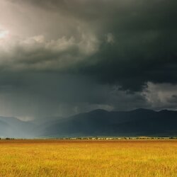 karaoke,Tell Me Why,Wynonna Judd,backing track,instrumental,playback,mp3,lyrics,sing along,singing,cover,karafun,karafun karaoke,Wynonna Judd karaoke,karafun Wynonna Judd,Tell Me Why karaoke,karaoke Tell Me Why,karaoke Wynonna Judd Tell Me Why,karaoke Tell Me Why Wynonna Judd,Wynonna Judd Tell Me Why karaoke,Tell Me Why Wynonna Judd karaoke,Tell Me Why lyrics,Tell Me Why cover,